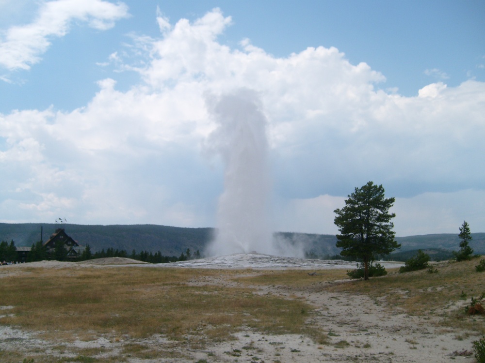 Old Faithful, a massive geyser that consistently erupts every 35 to 120 minutes.