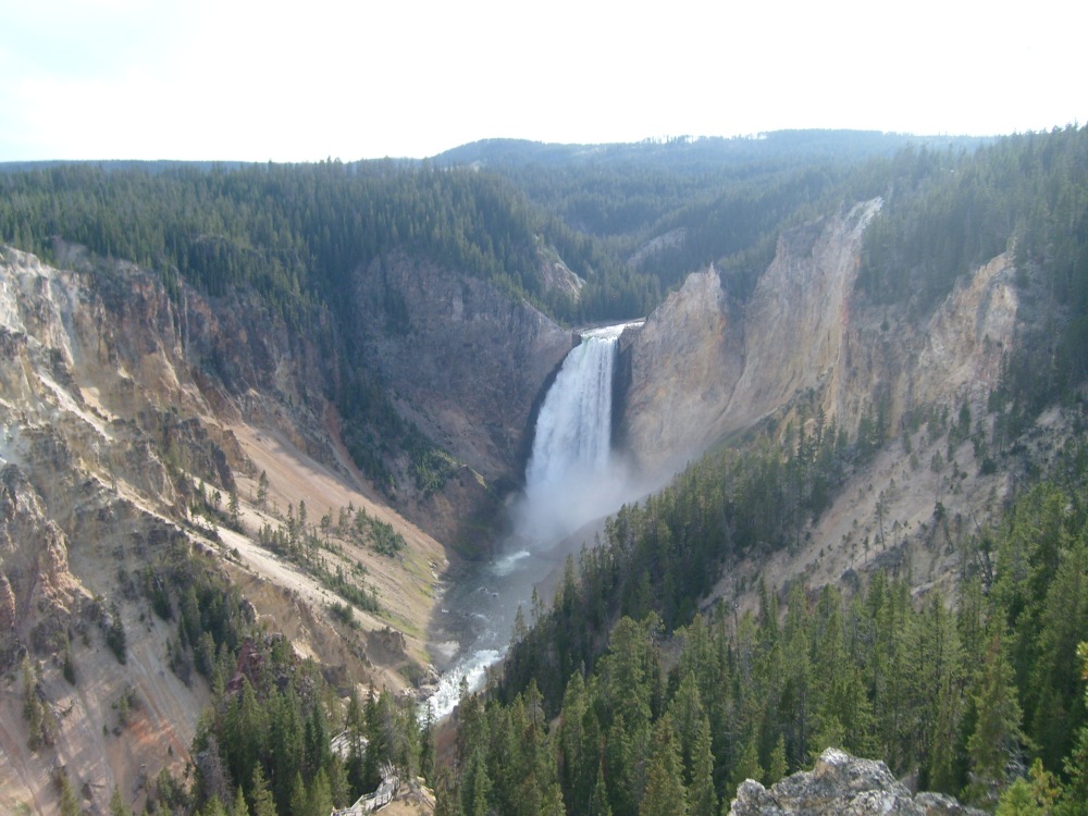 The beautiful and powerful Lower Yellowstone Falls. 